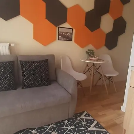 Apartment Elegant - 10 Min To The Centre, Near The Parks